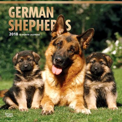 2018 German Shepherds Wall Calendar CAL 2018-GERMAN SHEPHERDS WALL [ Inc Browntrout Publishers ]