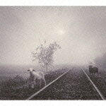 MERRY VERY BEST～白い羊/黒い羊～(初回限定盤 CD+DVD) [ MERRY ]