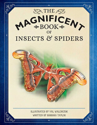 The Magnificent Book of Insects and Spiders MAGNIFICENT BK OF INSECTS & SP （Magnificent Book of） [ Weldon Owen ]