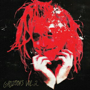 GADZOOKS VOL. 2