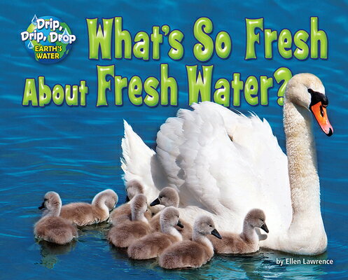 What's So Fresh about Fresh Water? WHATS SO FRESH ABT FRESH WATER （Drip, Drip, Drop: Earth's Water） [ Ellen Lawrence ]