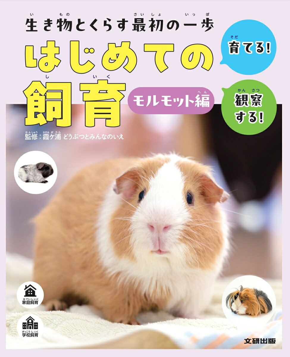 生き物とくらす最初の一歩　はじめての飼育　モルモット編 書影