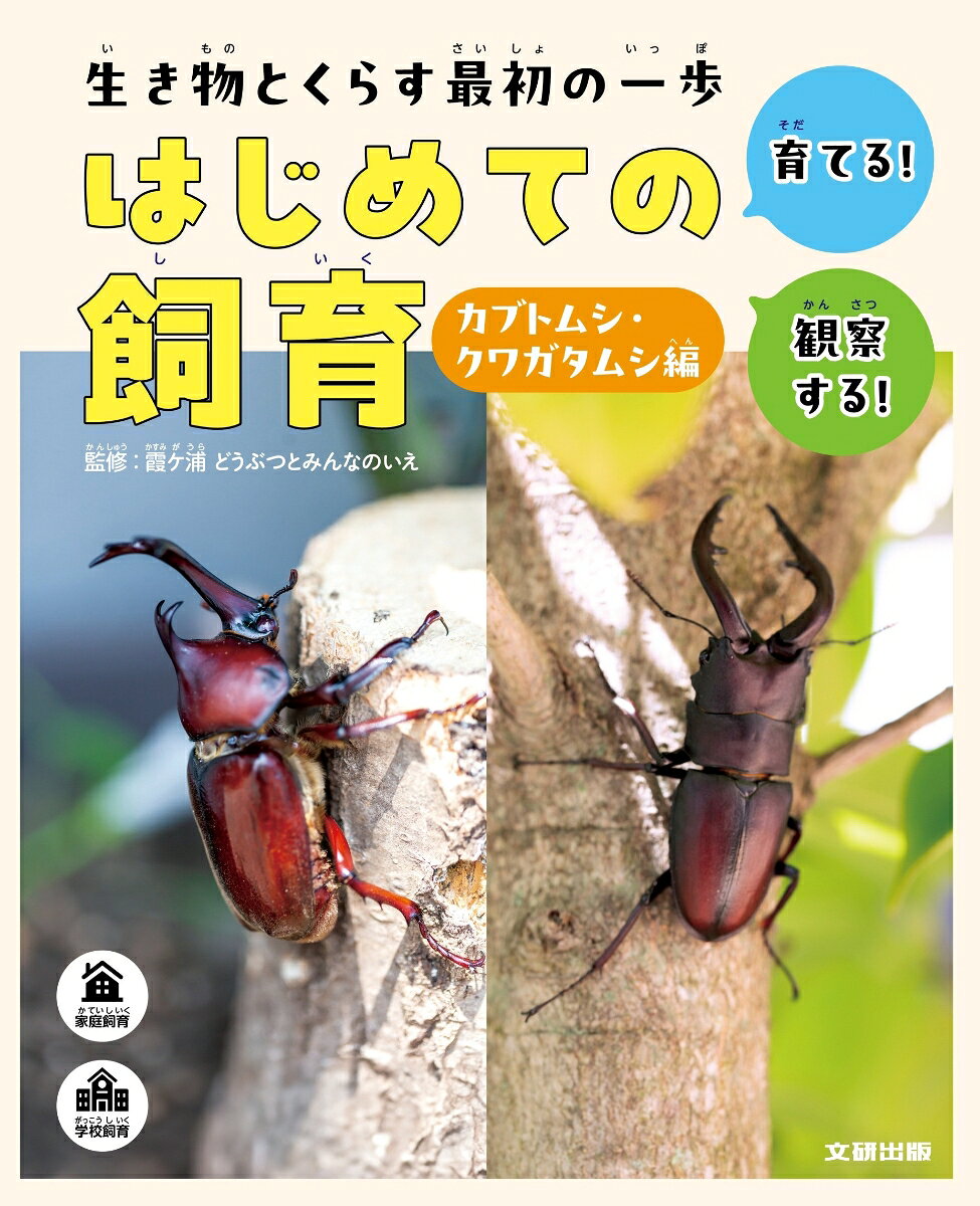 生き物とくらす最初の一歩　はじめての飼育　カブトムシ・クワガタムシ編 書影