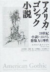 アメリカ・ゴシック小説 19世紀小説における想像力と理性 [ ドナルド・A．リンジ ]