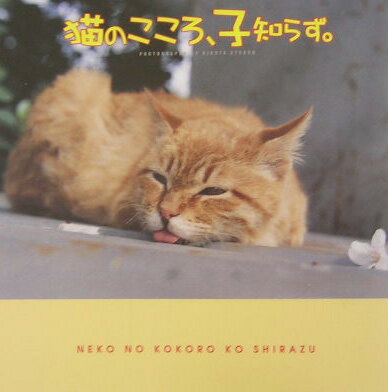 猫のこころ、子知らず。