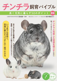 チンチラ 飼育バイブル 長く元気に暮らす50のポイント 新版の表紙