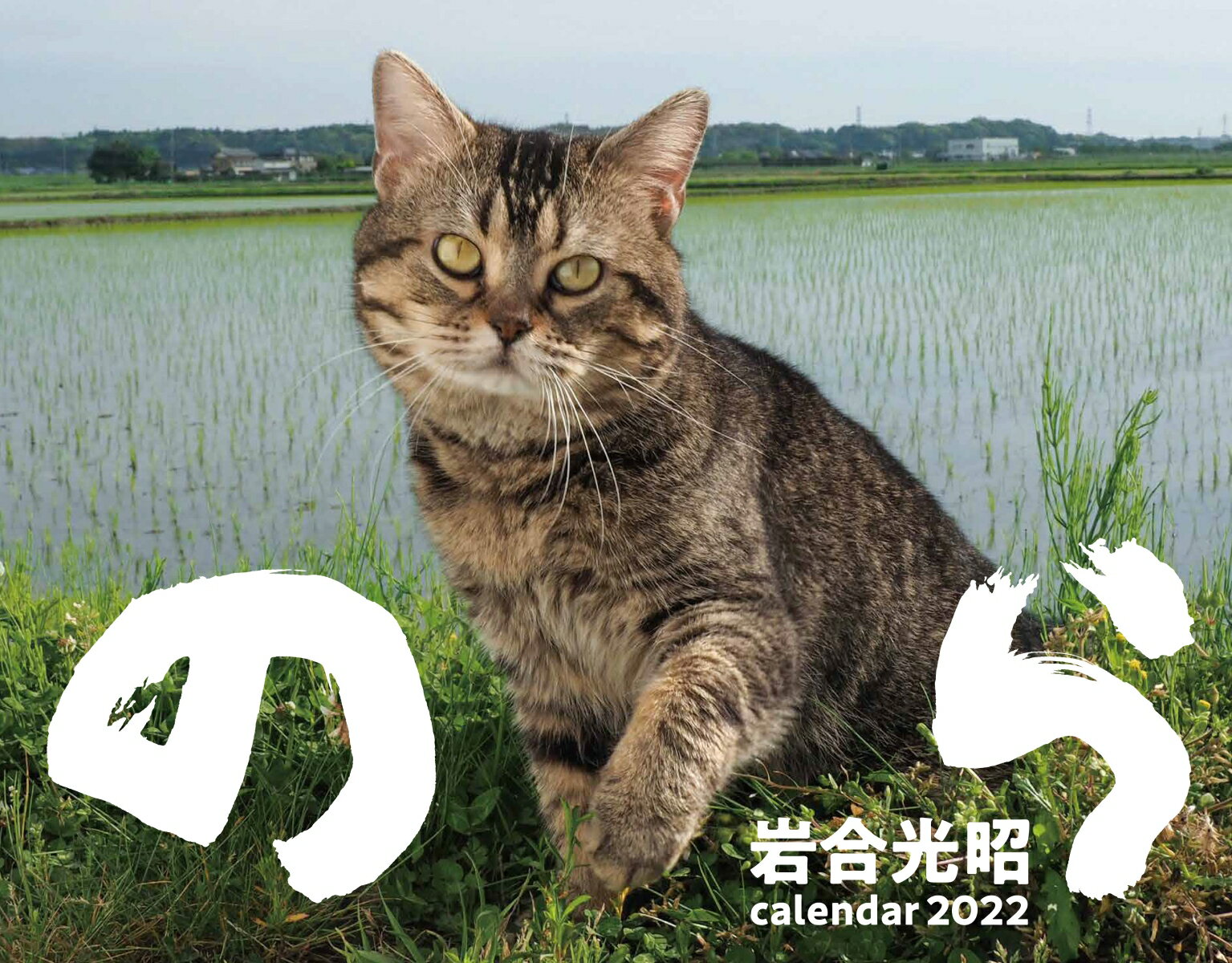 2022猫カレンダー のら