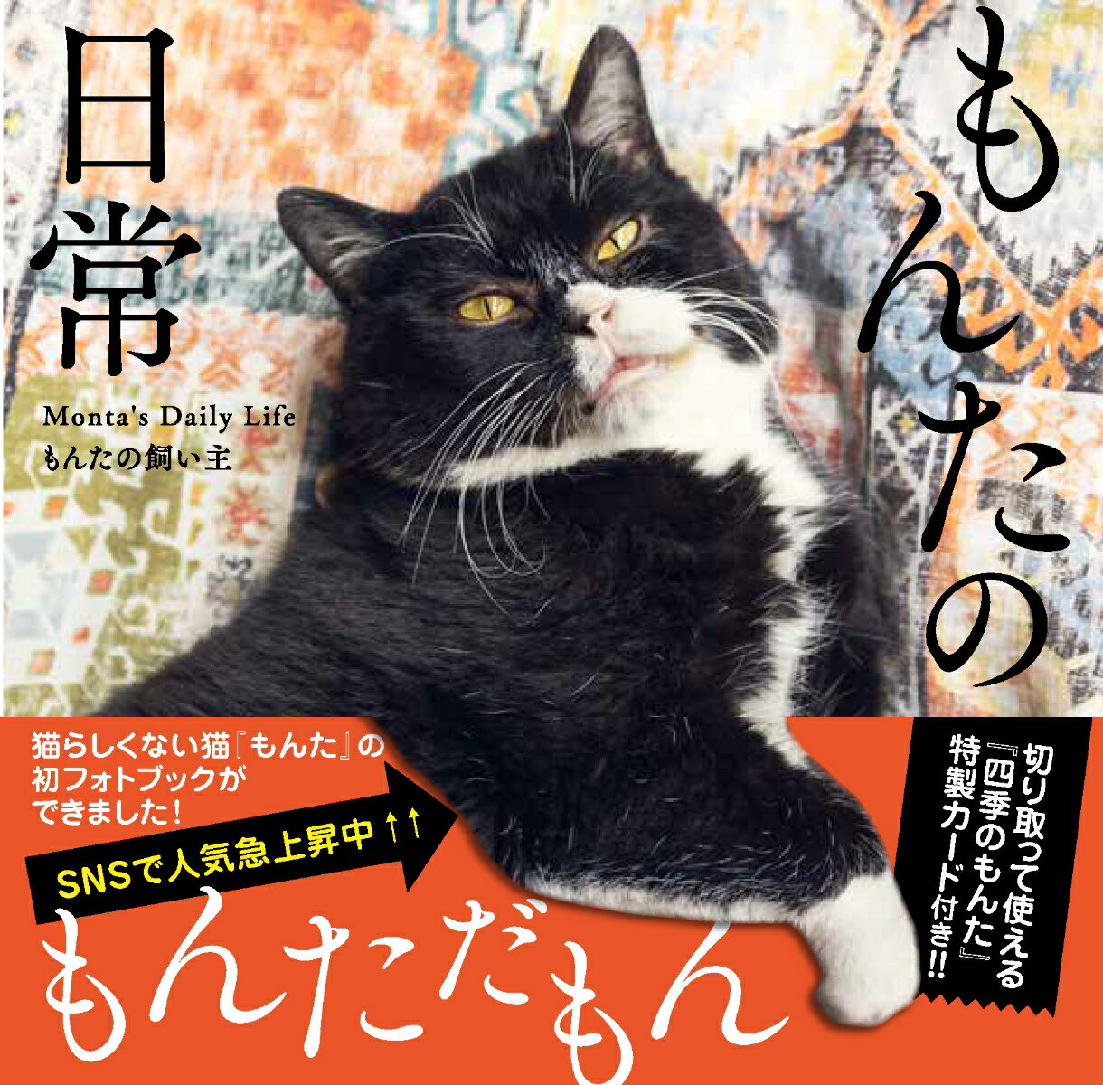 ＳＮＳで人気急上昇中。猫らしくない猫『もんた』の初フォトブックができました！