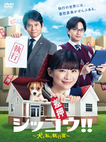 シッコウ!!〜犬と私と執行官〜　DVD-BOX