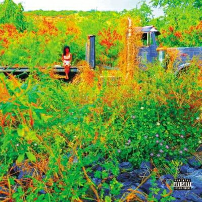 【輸入盤】Trip [ Jhene Aiko ]