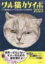 ワル猫カケイボ 2023