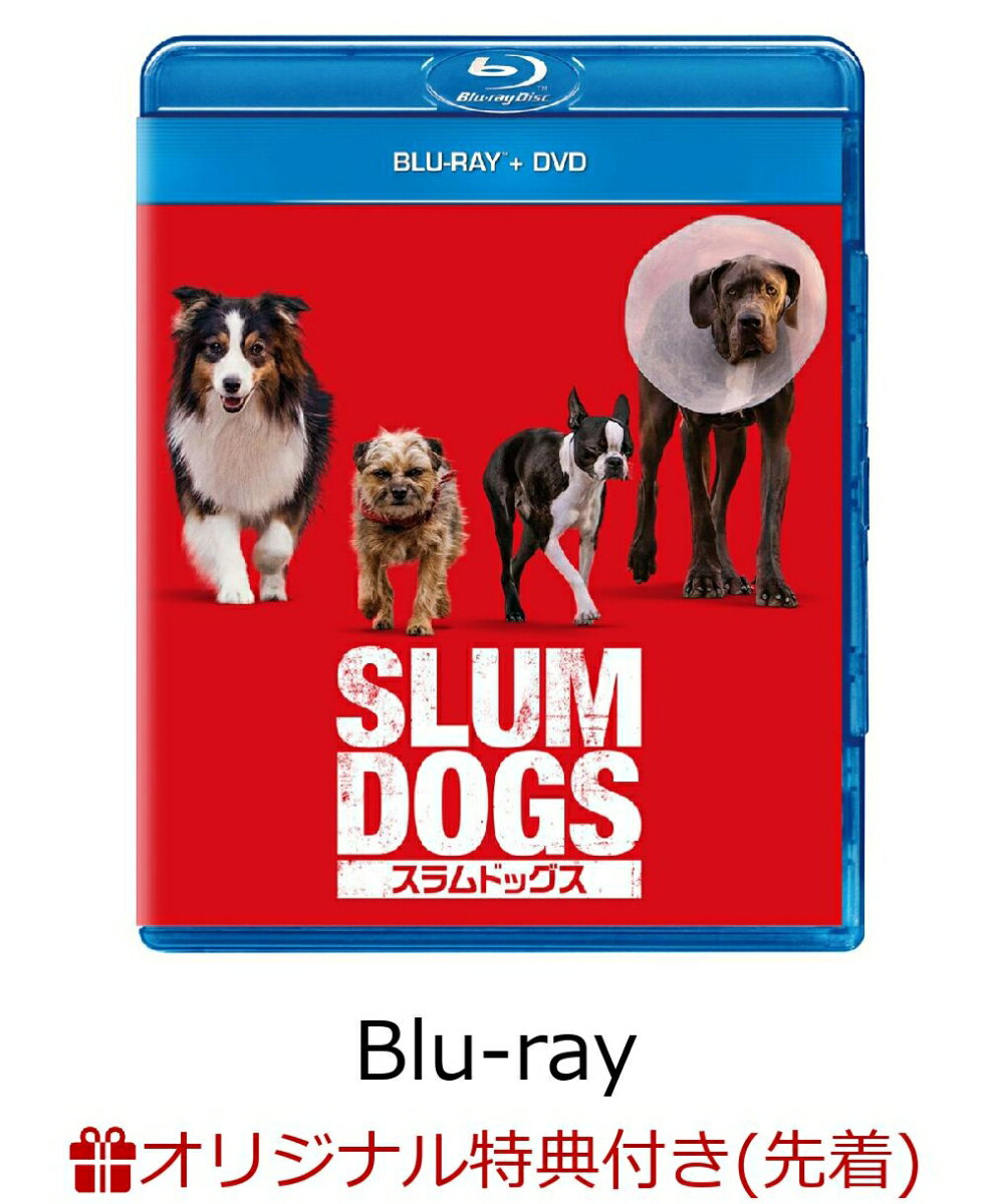 【楽天ブックス限定先着特典】スラムドッグス ブルーレイ+DVD【Blu-ray】(アクリルプレート(A6サイズ))