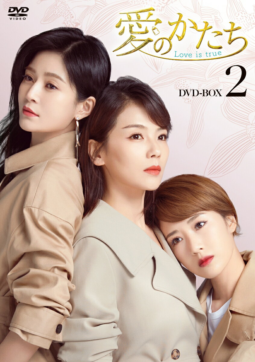 愛のかたち〜Love is true〜 DVD-BOX2