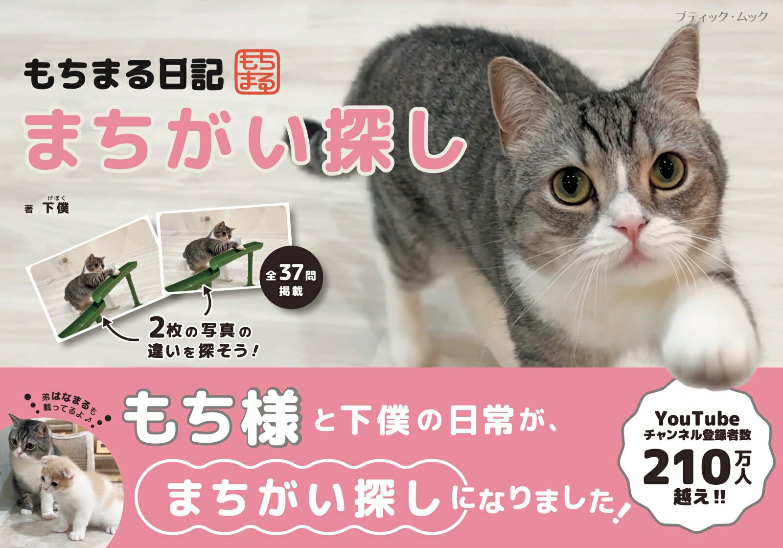 もちまる日記 まちがい探し