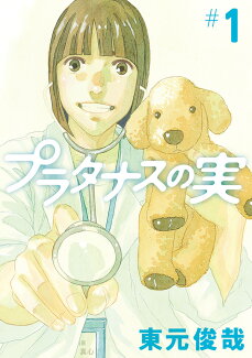 プラタナスの実(1)の表紙