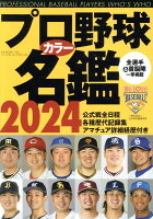 プロ野球カラー名鑑（2024年）