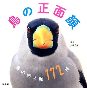 鳥の正面顔 鳥の萌え顔172種！ [ 鳥くん♪ ]