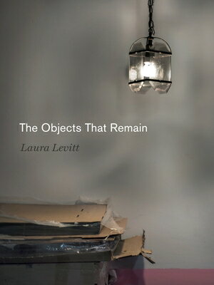 The Objects That Remain OBJECTS THAT REMAIN （Dimyonot） 