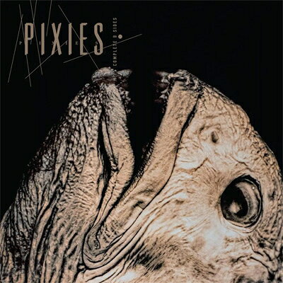【輸入盤】Complete B Sides: 1988-97