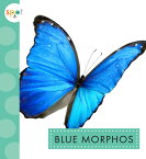 Blue Morphos BLUE MORPHOS [ Alissa Thielges ]