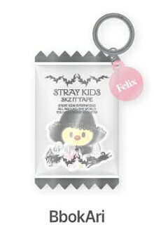 [DO IT] SKZOO SHAKER KEYRING (BbokAri Ver.)