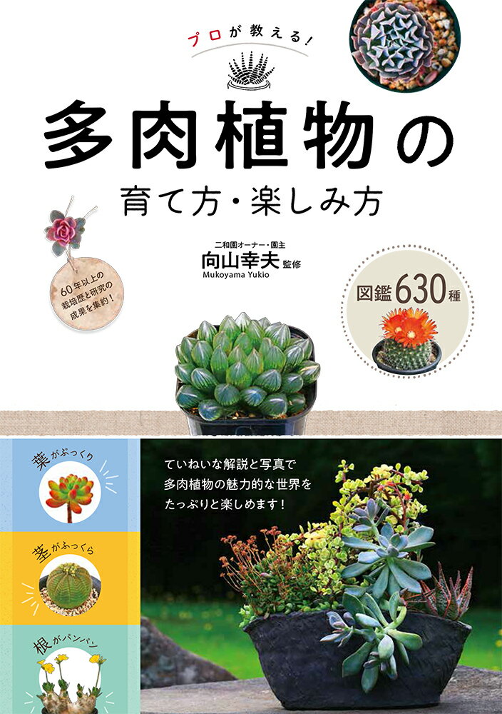 ていねいな解説と写真で多肉植物の魅力的な世界をたっぷりと楽しめます！