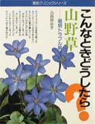 山野草