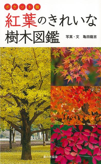 【バーゲン本】紅葉のきれいな樹木図鑑　ポケット版 [ 亀田　龍吉 ]