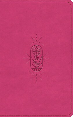 ESV Kid's Bible, Thinline, Red Letter (Trutone, Berry, the True Vine Design)
