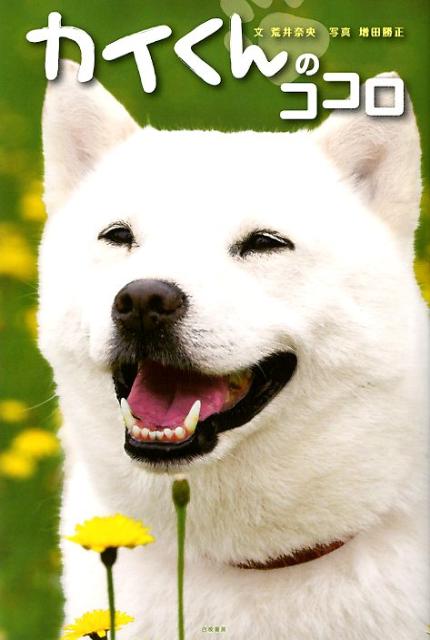 カイくんのココロ