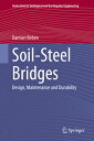 Soil-Steel Bridges: Design, Maintenance and Durability SOIL-STEEL BRIDGES 2020/E （Geotechnical, Geological and Earthquake Engineering） 