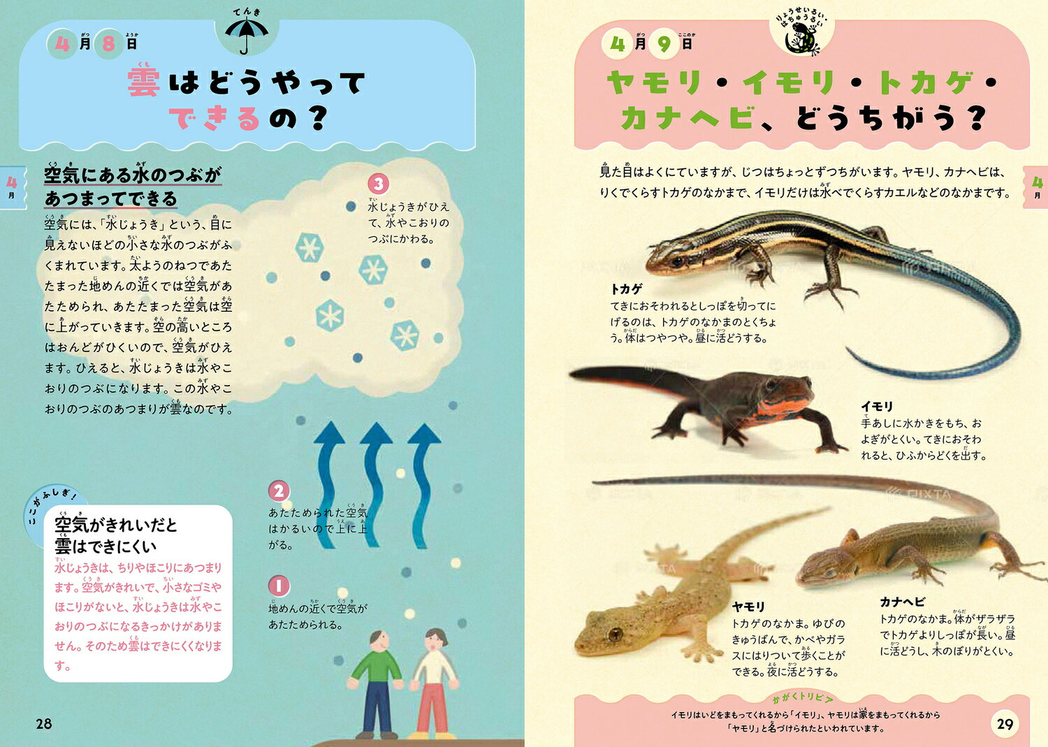366日でかがくはかせ！ 自分で学ぶ力を育てるずかん [ 日本科学未来館 ] 2