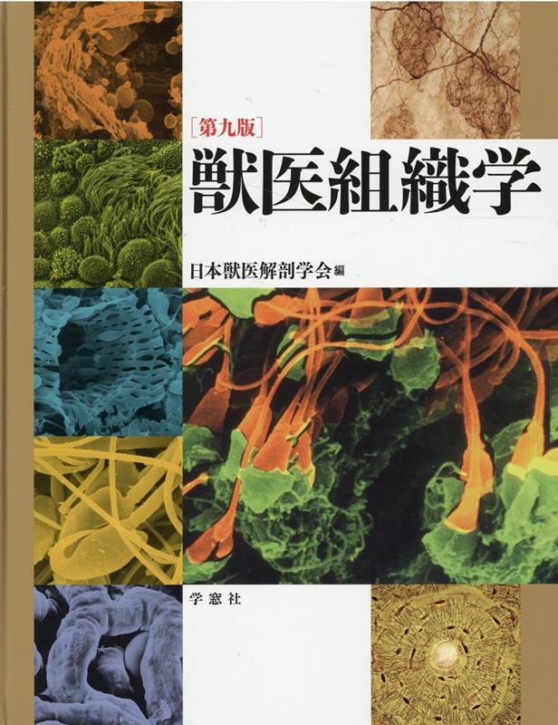 楽天市場】獣医 解剖学の通販 楽天市場】獣医 解剖学の通販