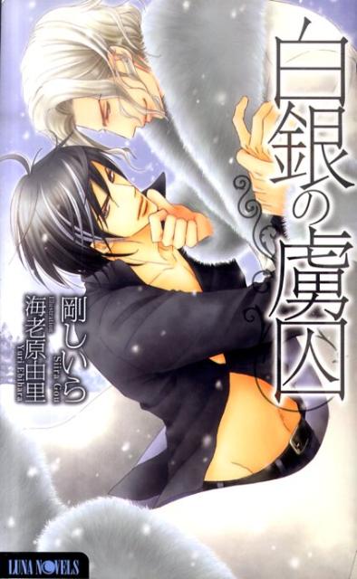 白銀の虜囚
