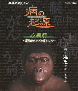 NHKスペシャル 病の起源 心臓病 〜高性能ポンプの落とし穴〜【Blu-ray】