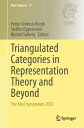 Triangulated Categories in Representation Theory and Beyond: The Abel Symposium ...