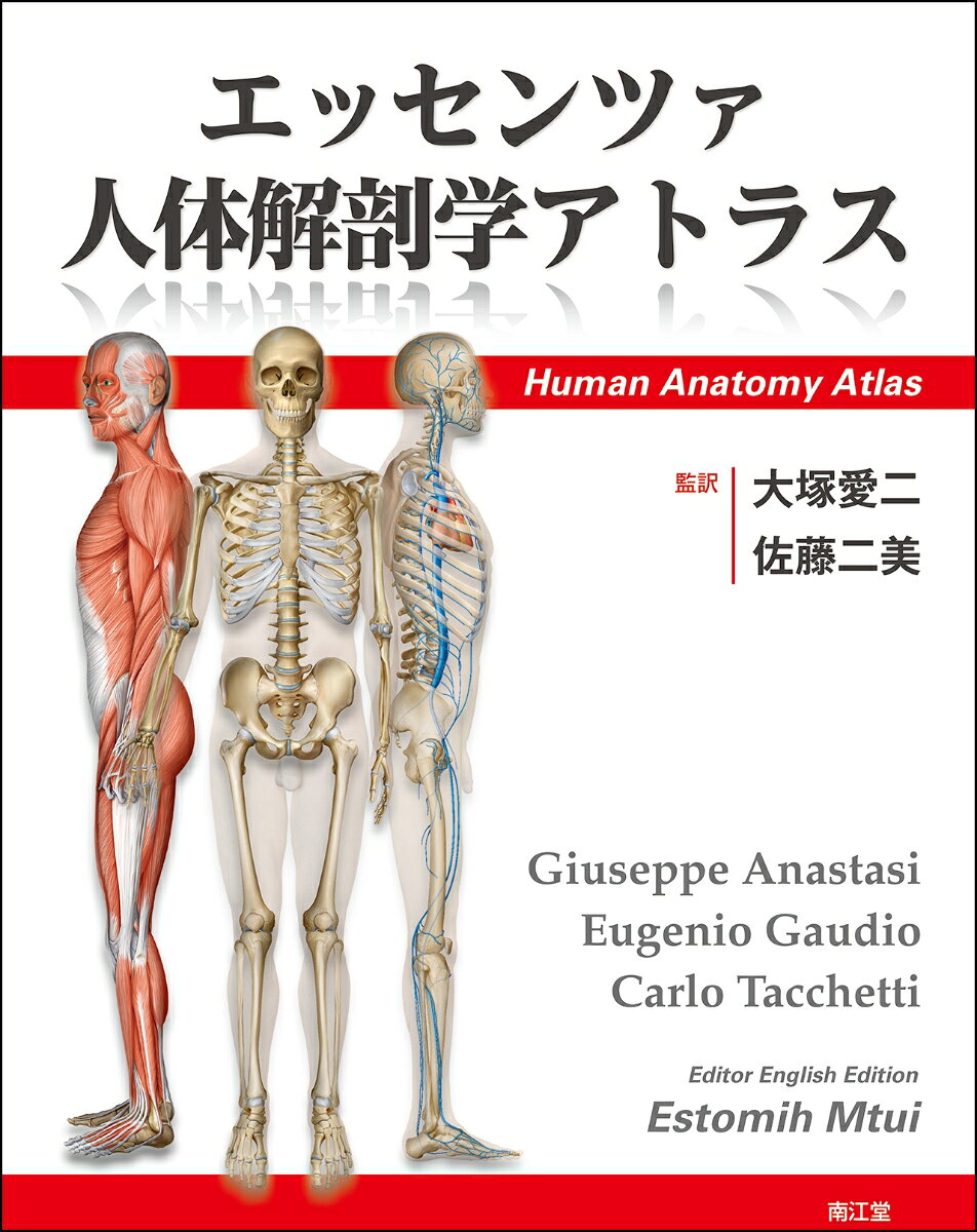 エッセンツァ人体解剖学アトラス