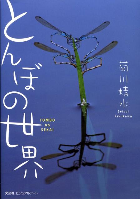 とんぼの世界