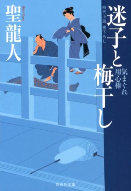 迷子と梅干し 気まぐれ用心棒2 祥伝社文庫 [ 聖龍人 ]