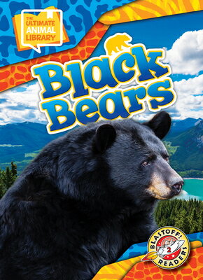 Black Bears BLACK BEARS （The Ultimate Animal Library） 