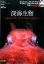 深海生物（ゆかいでヘンテコないきもの） 石垣幸二