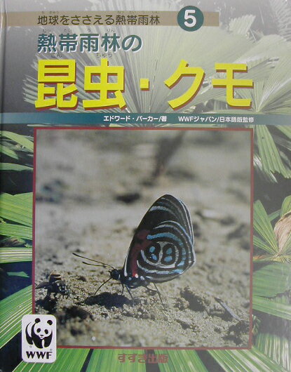 熱帯雨林の昆虫・クモ