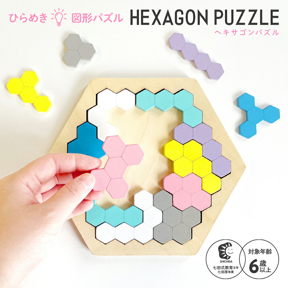 木製！ひらめき 図形パズル HEXAGON PUZZLE（ヘキサゴンパズル）