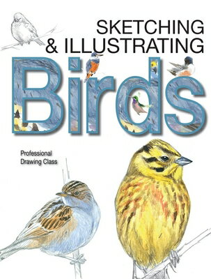 Sketching & Illustrating Birds: Professional Drawing Class SKETCHING & ILLUSTRATING BIRDS 