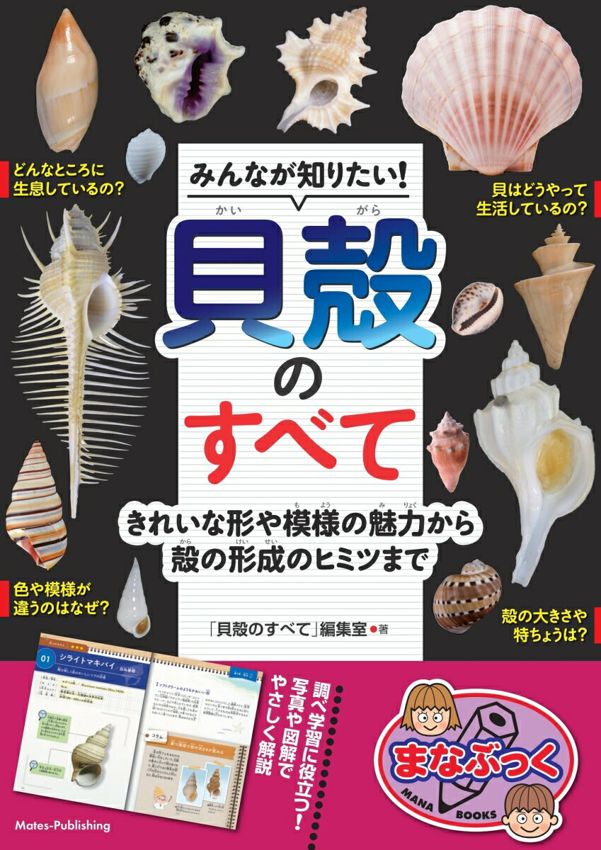 みんなが知りたい! 貝殻のすべて きれいな形や模様の魅力から殻の形成のヒミツまで