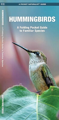Hummingbirds: A Folding Pocket Guide to Familiar Species HUMMINGBIRDS （Pocket Naturalist Guides） [ James Kavanagh ]
