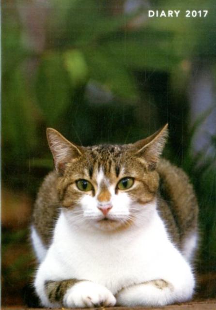 岩合光昭猫手帳（2017）