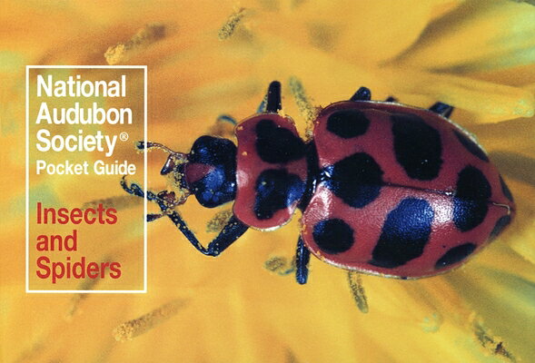 This guide decsribes and illustrates 80 of the most abundant and colorful insects and spiders in North America. An additional thirteen insects are mentioned as similar or related species. 80 color plates.