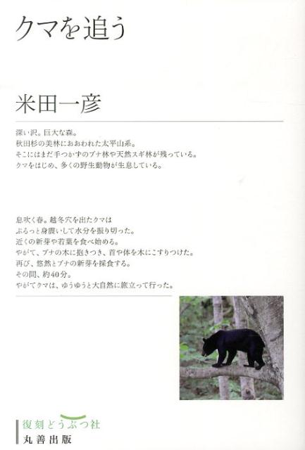 クマを追う [ 米田一彦 ]