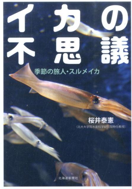 イカの不思議 季節の旅人・スルメイカ [ 桜井泰憲 ]